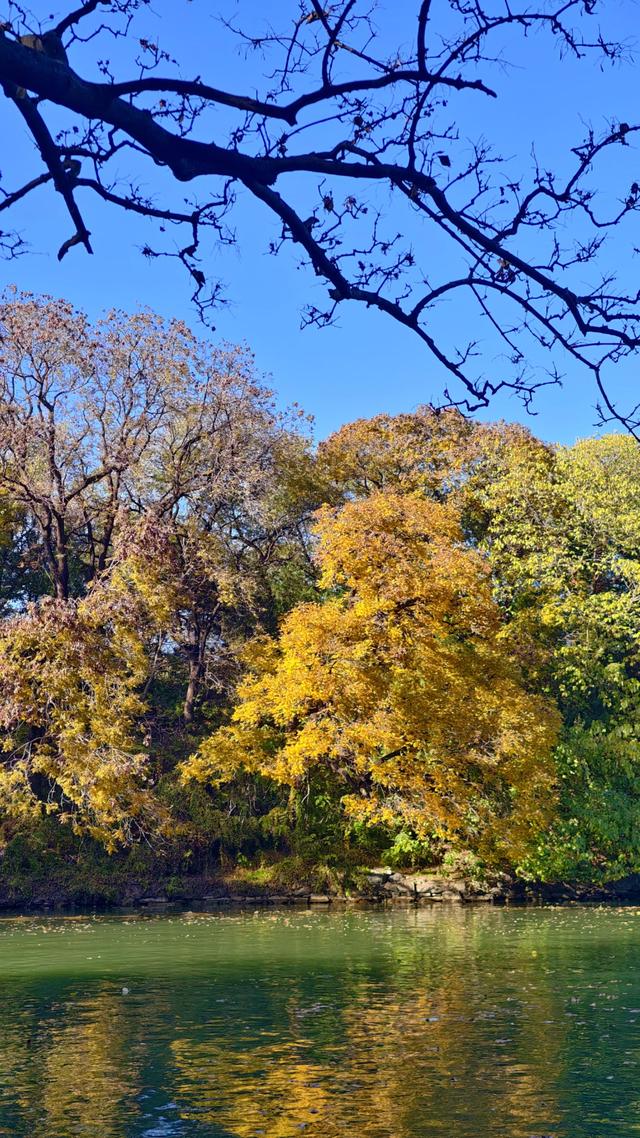 秋日静美！颐和园后湖五彩斑斓