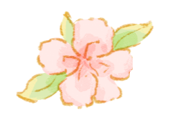 一张门票一日游，打包青岛冬日海底+海上精华的路线攻略来啦