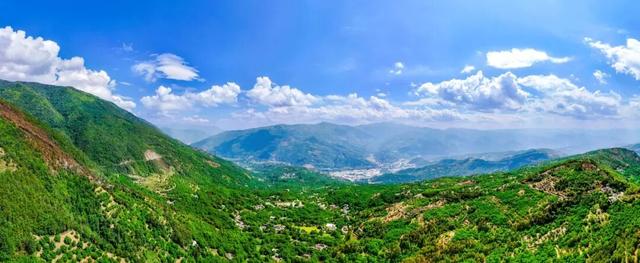 漾濞是“世界核桃起源地”！有五个维度可为证……