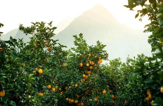 “享暖冬 趣罗甸”2025年黔南州罗甸县暖冬新玩法推介活动在贵阳举行