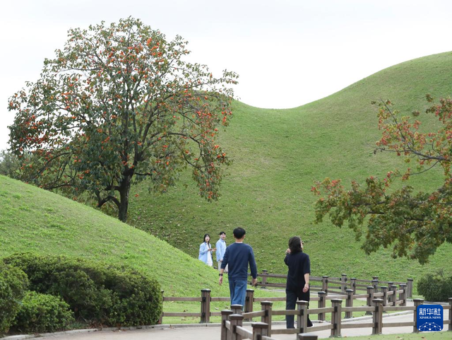 镜观世界丨韩国庆州：一座“露天的历史博物馆”