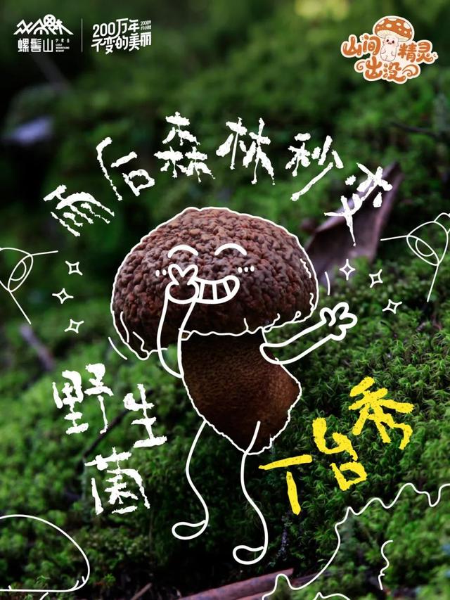 游玩攻略 | 山间精灵出没！快来螺髻山开盲盒