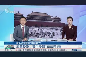 每天4万张故宫门票去哪了？放票秒没、黄牛炒到1600元1张视频封面