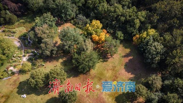一年四季 泉在济南丨济南森林公园，秋日绘就斑斓盛景