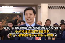 雷军：深刻感受到党中央对民营企业的关心和支持 小米将继续坚持科技创新 把人工智能技术应用到各个终端上丨一手图片