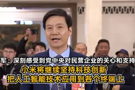 雷军：深刻感受到党中央对民营企业的关心和支持 小米将继续坚持科技创新 把人工智能技术应用到各个终端上丨一手图片