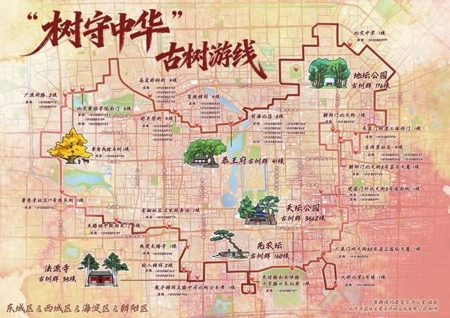 北京古树 家国情怀 国庆古树游线等您来体验