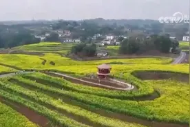 “美丽花海+特色文旅”催热“家门口”农文旅融合新热潮图片