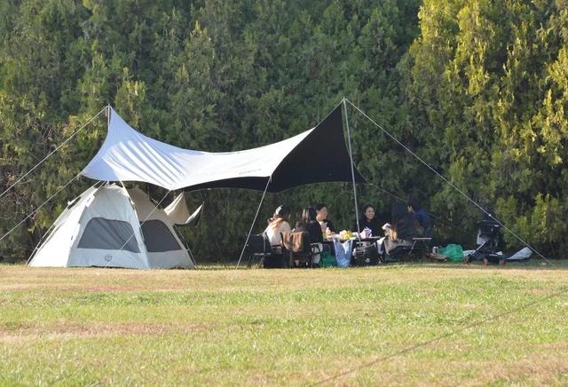 全部免费！郑东新区公交、地铁直达的8大赏秋圣地！