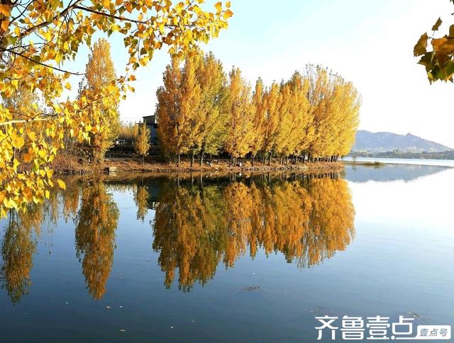 秀山东丨泰安市新泰，‌层林尽染映湖光，初冬绘就多彩画卷