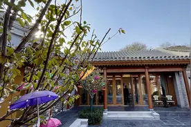模式口“美山”院落重现传统三进四合院格局图片