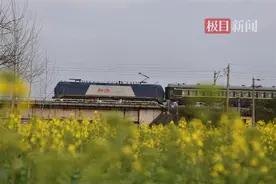 傍晚出发清晨抵达：4月10日起武昌火车站开通至洛阳赏花列车图片