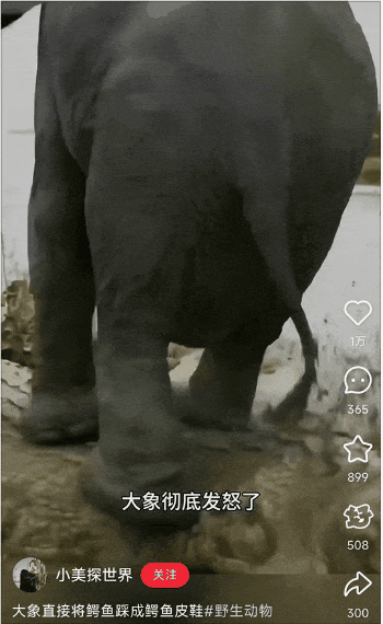 其实，你每天在用的互联网上，早就没有活人了？