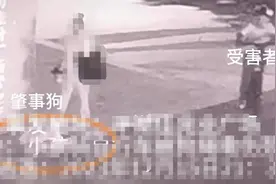 深圳9岁男孩骑单车脖子被狗绳勒伤？回应：已找到狗主人，正组织协商图片