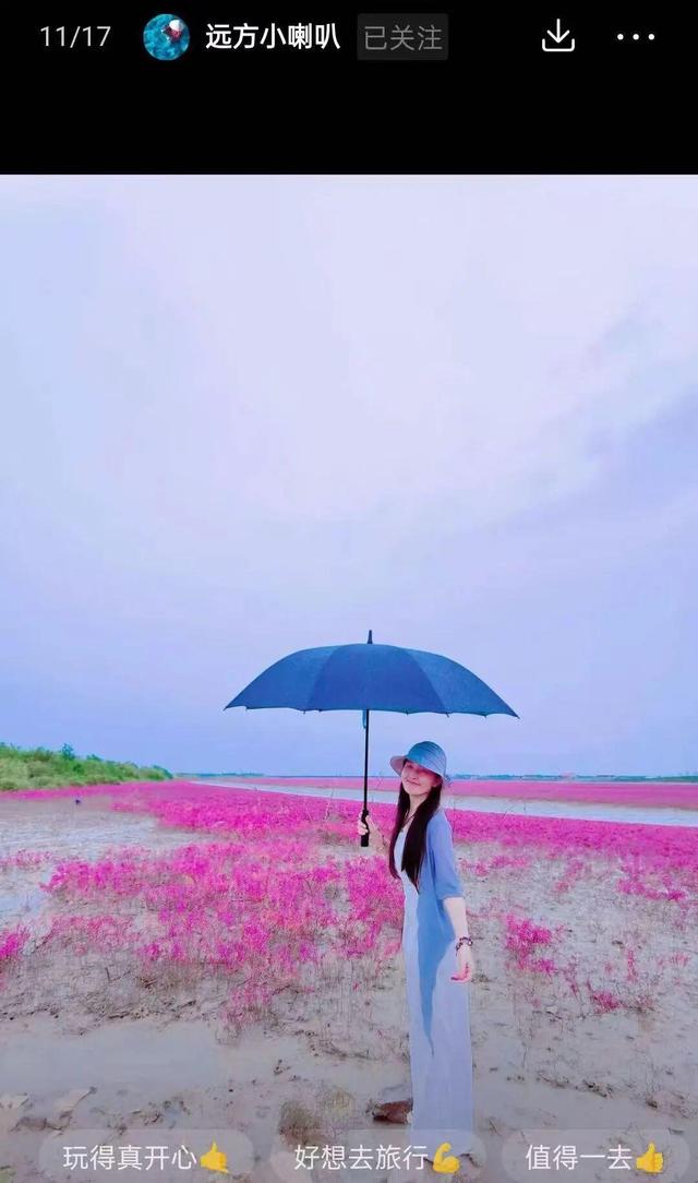 南海红海滩刷屏 网友争相打卡