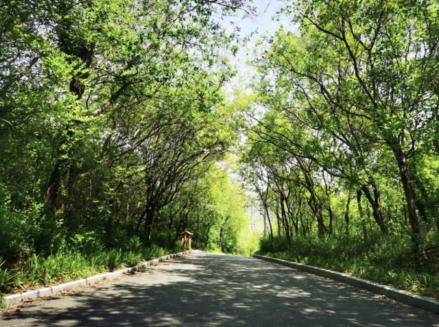 济南已建成300余公里山林绿道，串起泉城市民美好生活 | 高新篇
