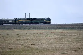“我看到了中国新的风景”：一个外国人的卧铺火车旅行体验图片