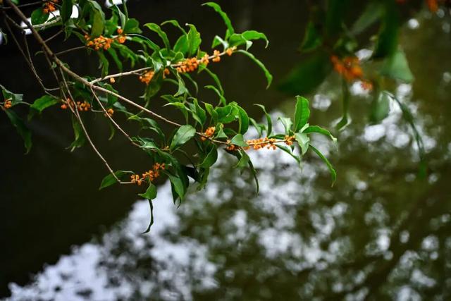 这个周末，让晴好天气治愈你！