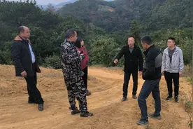 专家现场指导，助力百香果产业蓬勃发展图片