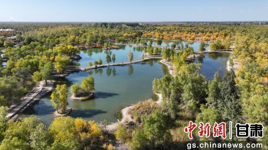甘肃金塔：胡杨林美景醉游人
