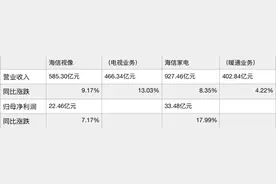 海信视像与海信家电披露2024年成绩单，电视和暖通谁更胜一筹图片