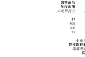 碧桂园：执行董事杨惠妍、莫斌等主动提出降低薪酬请求，杨惠妍年度薪酬下调至12万元图片
