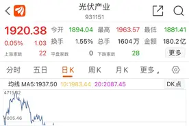 多家光伏龙头半年报预亏 下半年能否迎来拐点？ | 2024年中盘点③图片