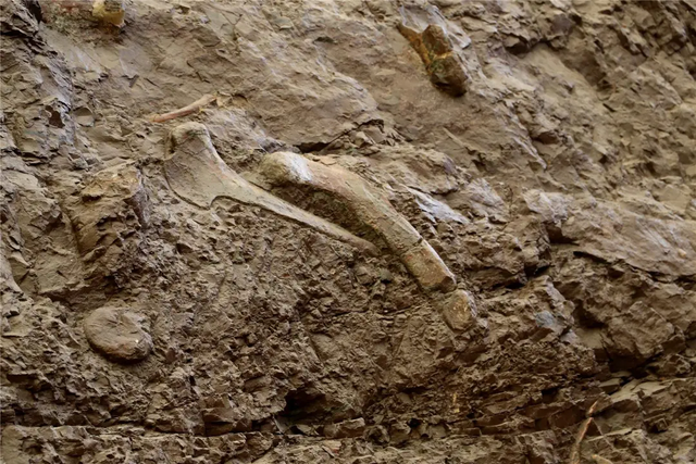 @巫溪球迷，去云阳看球赛，免费游景区!