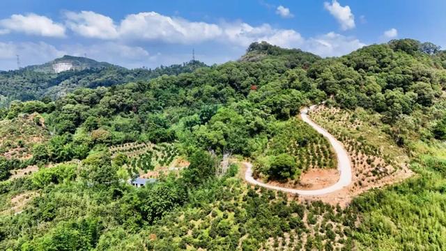 重阳登高又添打卡点！就在福州这里！