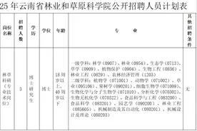 附岗位表！云南新一批招聘公告来了图片