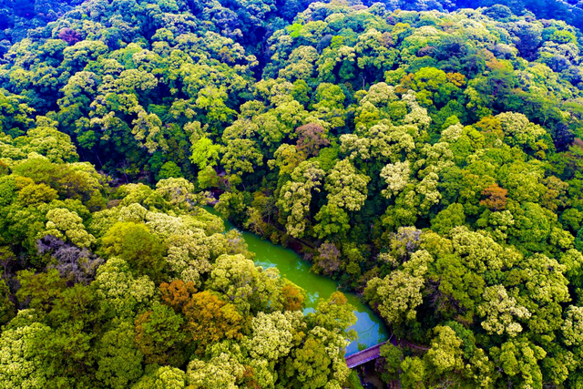 台湾同胞看过来！三明多家A级景区对“首来族”免票，即刻出发～