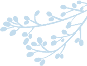 观云海，遇彩林，初冬就该来这里！