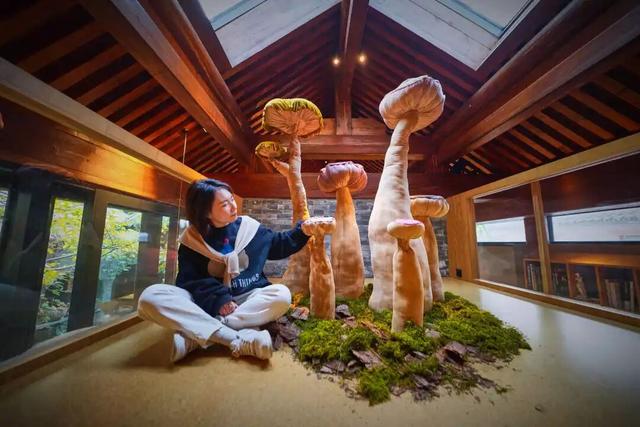 来东城这个胡同小院，邂逅蘑菇精灵的童话秘境——