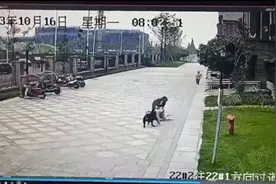 成都女童家属：申请对黑狗安乐死图片