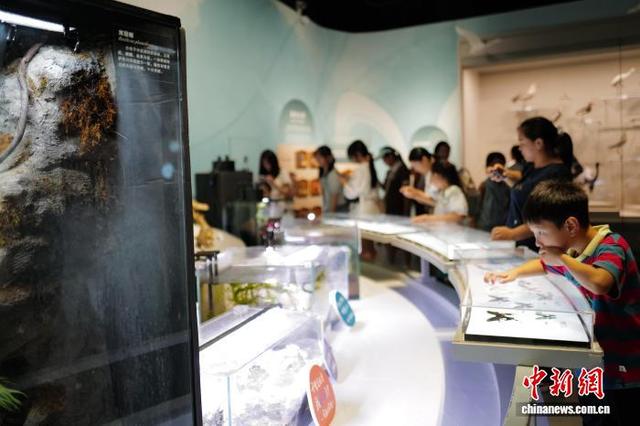 中国湿地博物馆夏日引游人 尽显人与自然之美