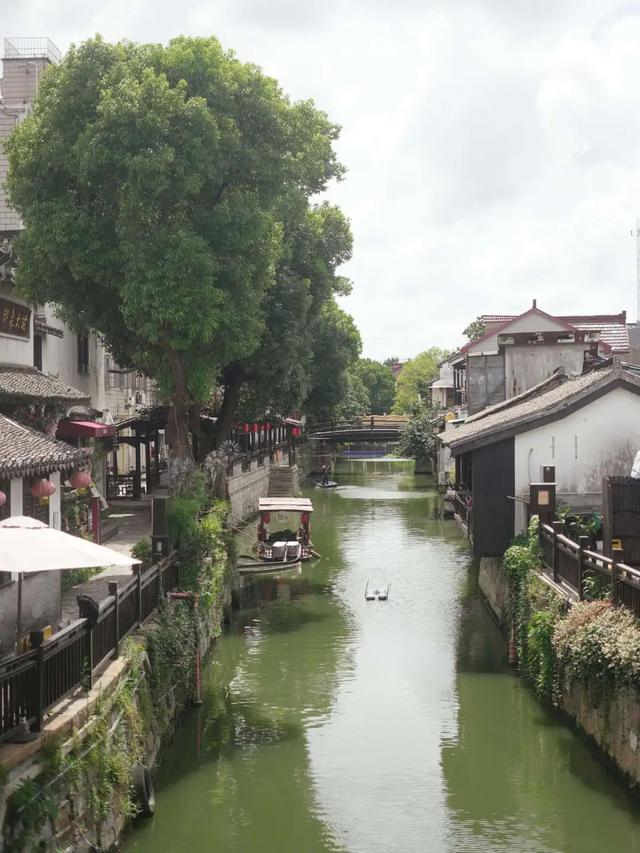上海夏日｜微风解暑 绿意漫游