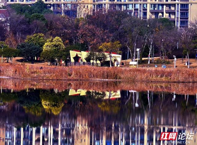 漫步神农湖：在城市的喧嚣边缘，寻一方安宁