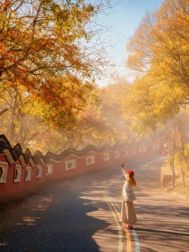 这个周末，我要去趟句容