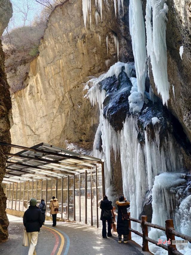 雪岭雾凇映冰帘 宕昌官鹅沟赏冰雪正当时