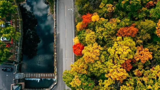 @南方小土豆！白云山免票福利来啦！邀你一起来看雪！