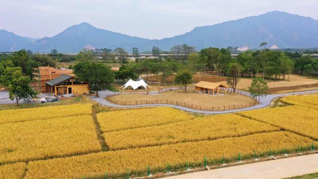 秋游清城，3条一日游爆款精品线路，你选哪条？