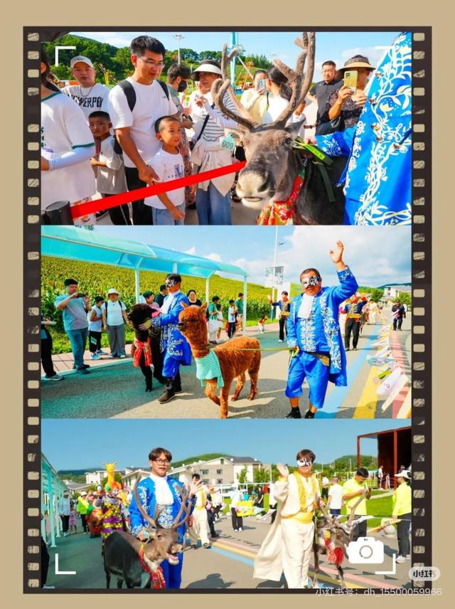 “奇幻动物城”上线！森林巡游、萌宠互动、气模打卡……欢乐不停歇！