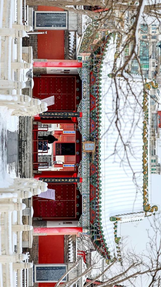 河南下雪冲上热搜！解锁各地冰雕玉砌的浪漫密码……速戳绝美现场→