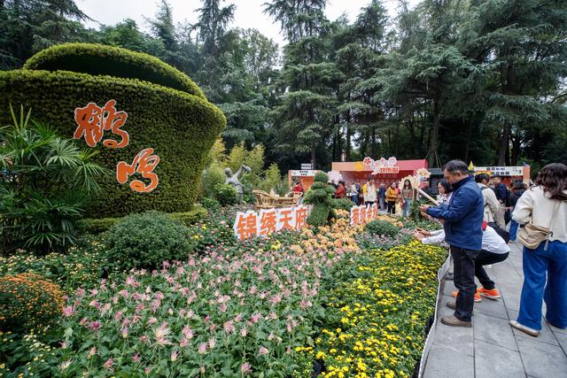 千株万朵菊花开，深秋又有春意来