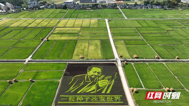 这就是洪江丨我们奔县吧·洪江市篇