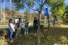 昆明至景洪至磨憨高速公路（高新区段）路域环境绿化美化绿色廊道工程顺利终验图片