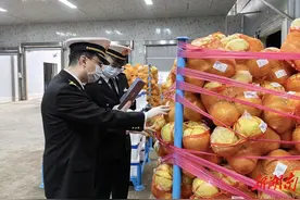 海关出口新鲜果蔬监管模式改革在湘率先落地图片