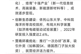 山东发展前景如何，DeepSeek这样看图片