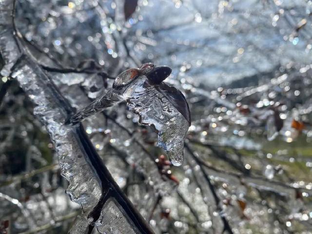 区县头条｜看！武陵山现冰挂美景