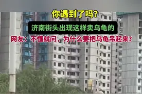 你遇到了吗？济南街头出现这样卖乌龟的，网友：不懂就问为什么要把乌龟吊起来？图片